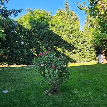 Fuered Deluxe Garden Apartment 블로톤퓌레드 외부 사진