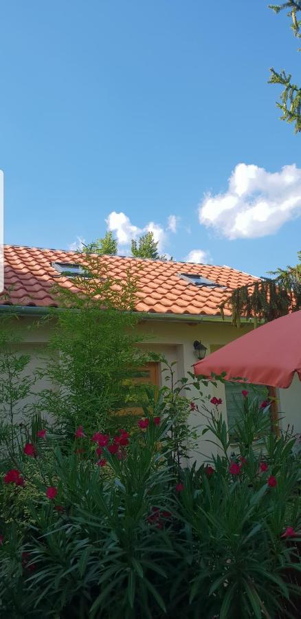 Fuered Deluxe Garden Apartment 블로톤퓌레드 외부 사진