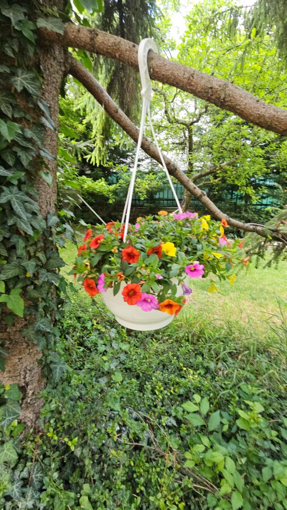 Fuered Deluxe Garden Apartment 블로톤퓌레드 외부 사진